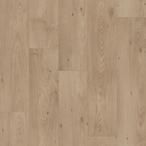 Bowery Oak