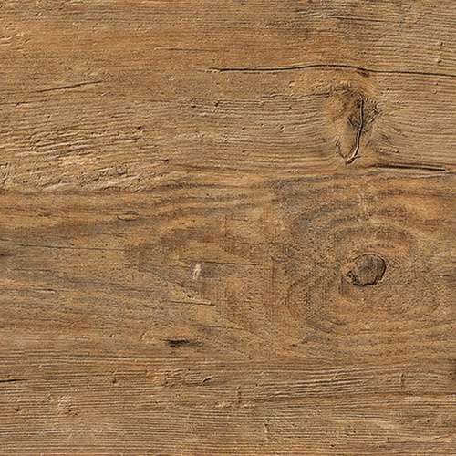 Wild Amber Oak