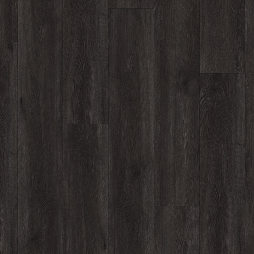 Midnight Oak
